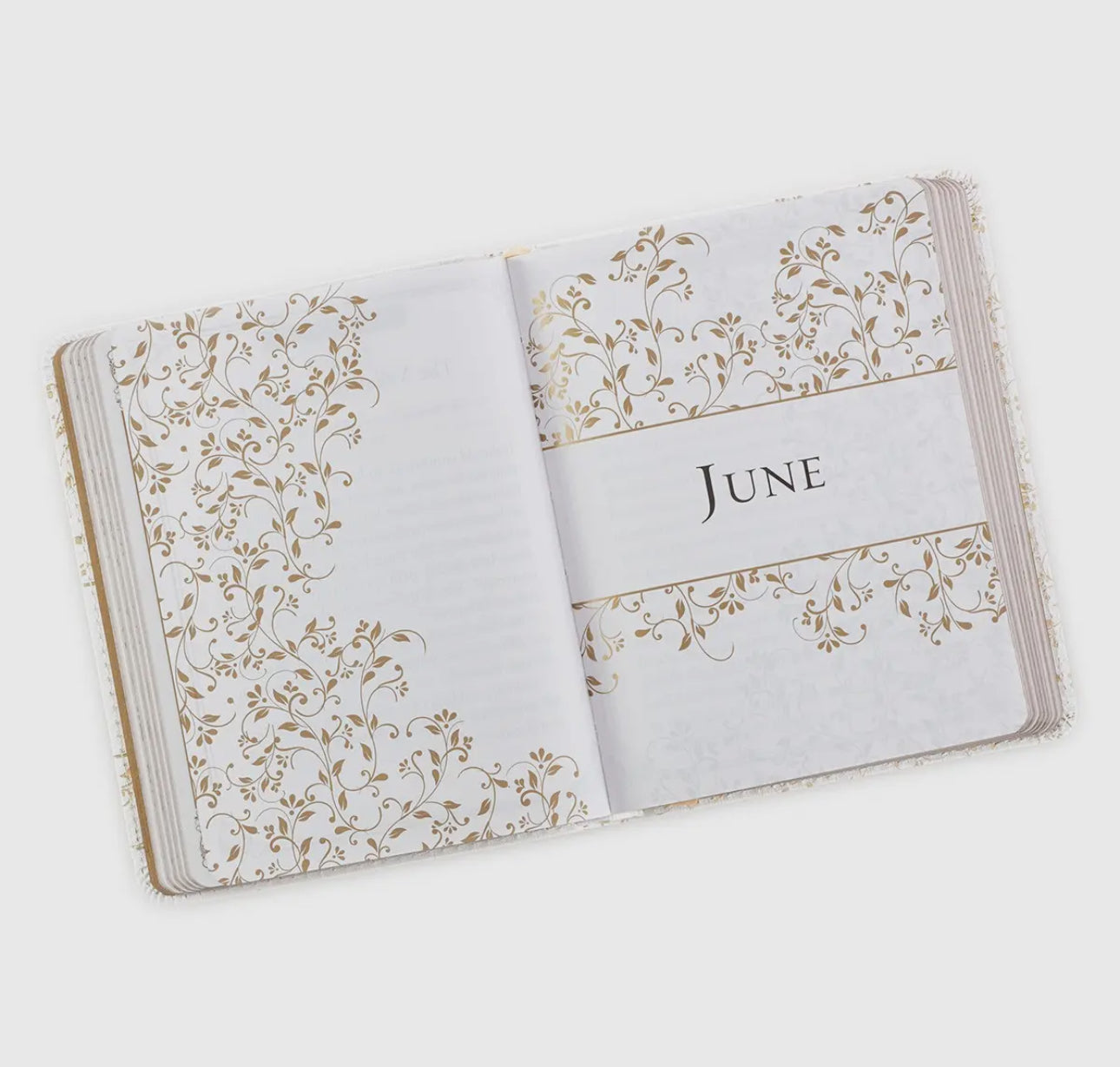 One-Minute Devotions
Morning By Morning Faux
Leather